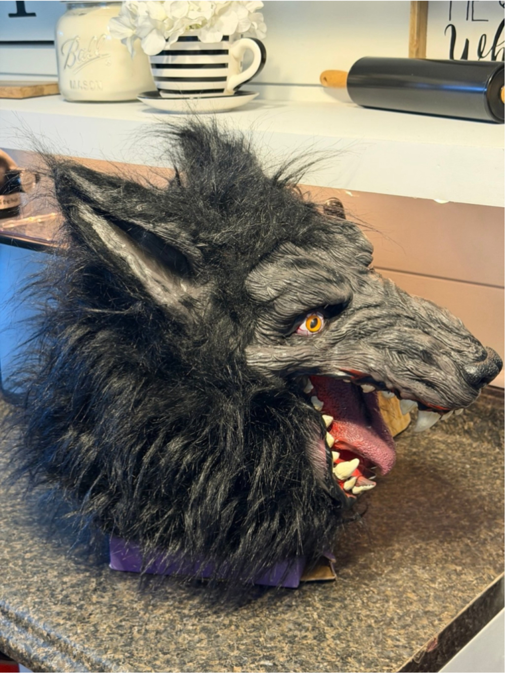 NWT Scary Deluxe Werewolf Mask Halloween Costume Prop Mask